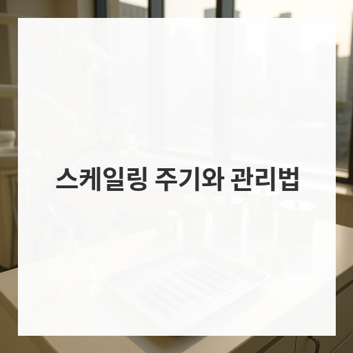 스케일링 주기와 관리법